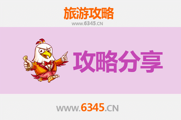 渭南白水至湄洲岛旅游攻略：跟团还是自由行选择指南